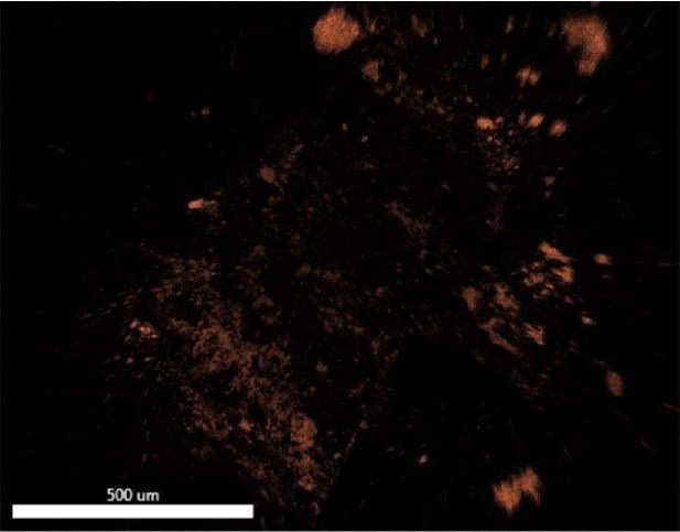 EDX map of Iron.