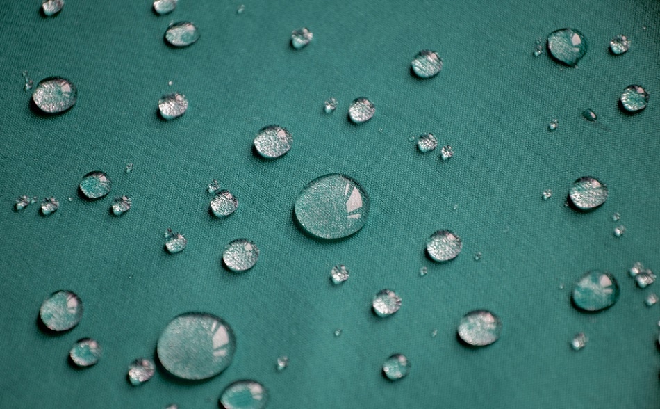 Shutterstock | Volodymyr Plysiuk