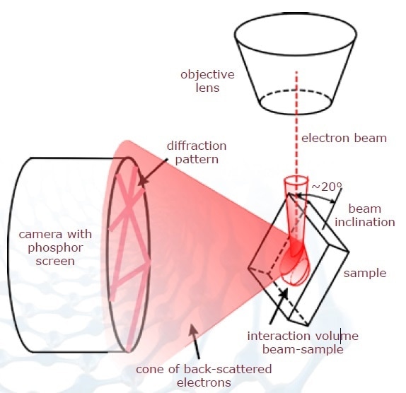 Setup of sample and detector within a scanning electron microscope (SEM).