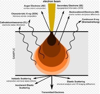 Electron — matter interaction volume: the different types of signals which are generated.