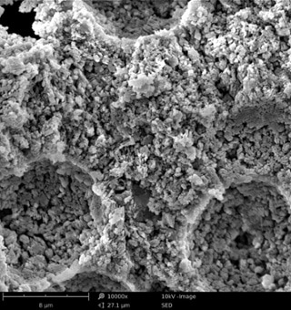 SEM image of aluminum.