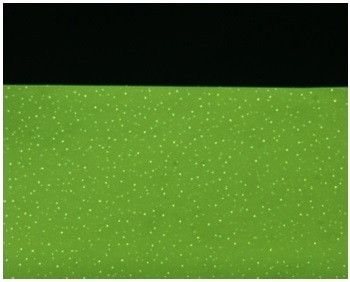 A transmission mode micrograph close up of window 1 shows a multitude of small light leaks after first 40 hours of exposure to Evactron cleaning. No Vacuum leak was found. The light leaks did not change with increasing exposure time and were not repeated on other windows. The dark area is the underlying support grid.