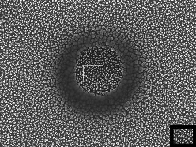 Etched silicon "grass" sample at 50000 times magnification