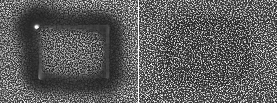 Two locations of a silicon "grass" sample