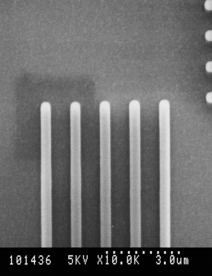 Tilt wafer SEM