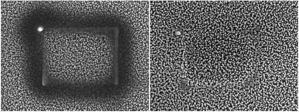 Silicon grass sample that was irradiated for 10 minutes