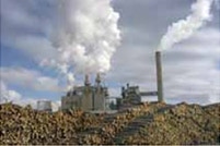 Pulp and Paper processing