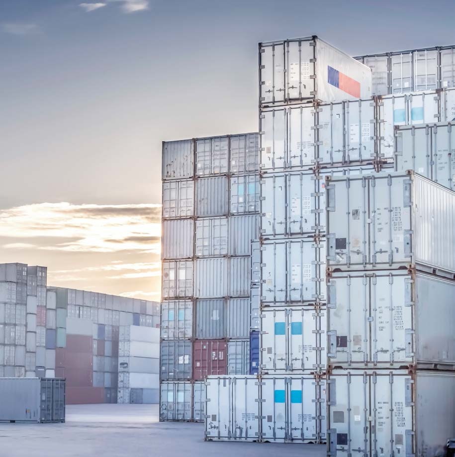 Photodiodes and Sensor Systems for Container and Cargo Scanners.
