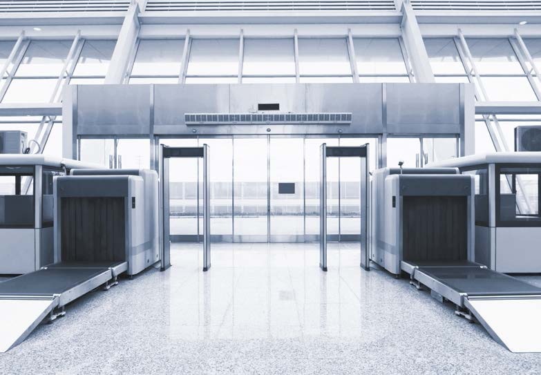 Large Detector Arrays for X-ray Inspection of Baggage and Freight.