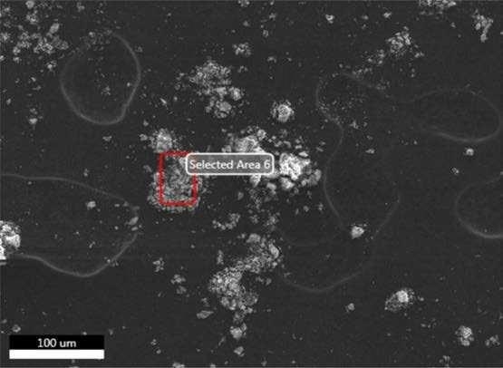 SEM-EDX image