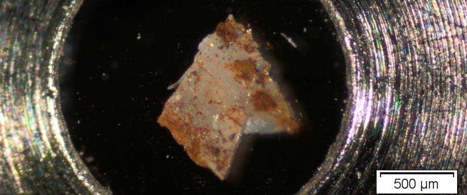 Optical Micrograph of Brown Particle on a sample cell.