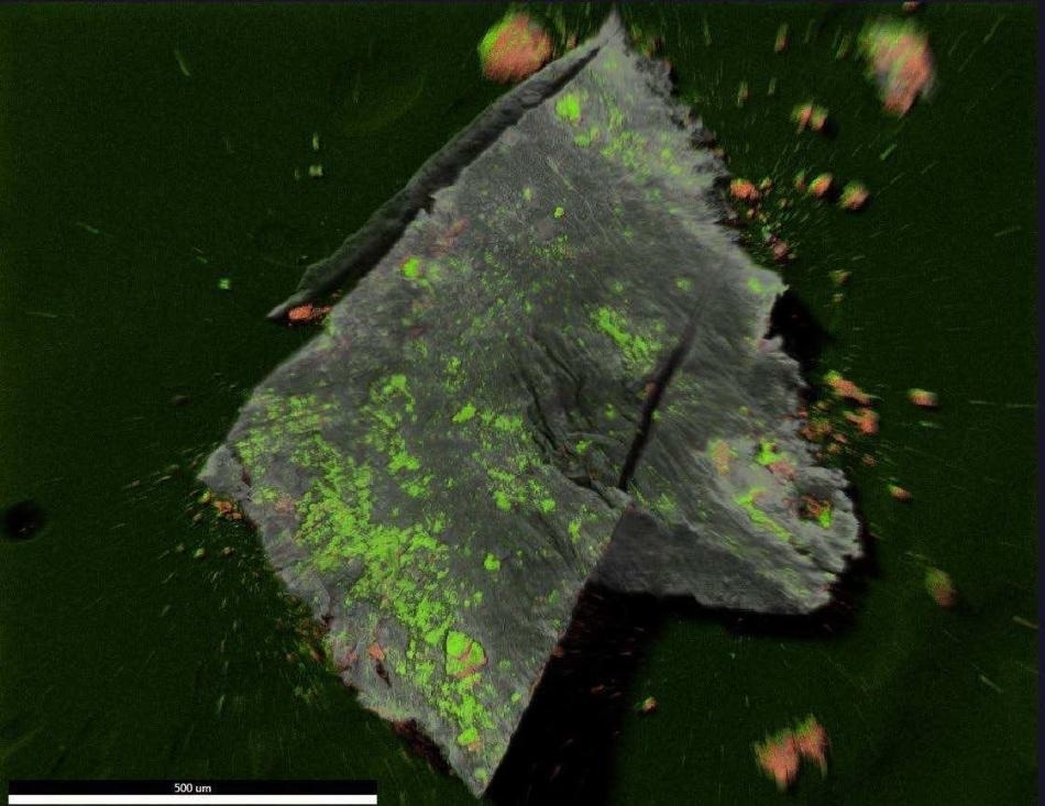 EDX map overlay of Oxygen and Iron