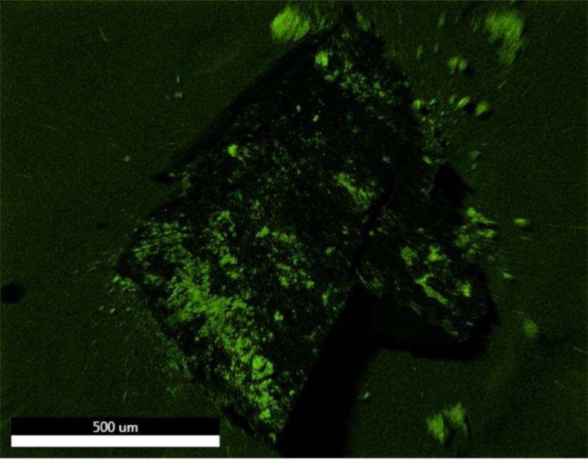 EDX map of Oxygen.