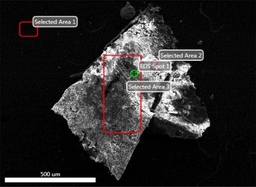 SEM-EDX image