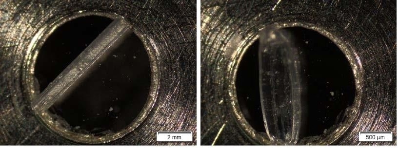Cross-sectional wedges of Blood Bag on a diamond cell
