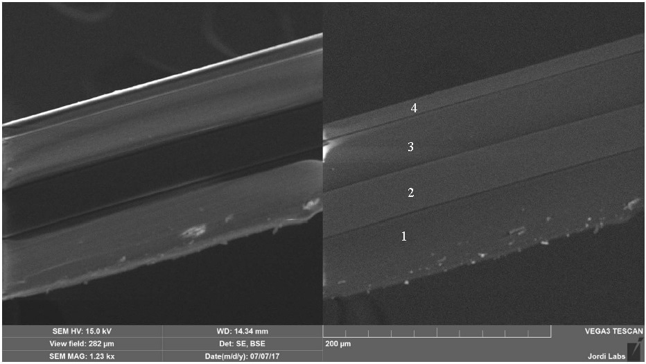 SEM SE and BSE images of Blood Bag