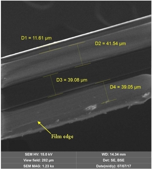 Measured SEM SE image of Blood Bag.