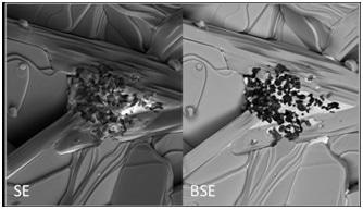SE and BSE Images