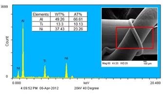 selected EDX inspection field