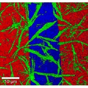 Color-coded confocal Raman image of a 7.1 nm PMMA layer (red) and a 4.2 nm contamination layer (green) on glass (blue). 200 x 200 spectra, 7 ms integration time/spectrum. Total acquisition time 5.4 minutes.