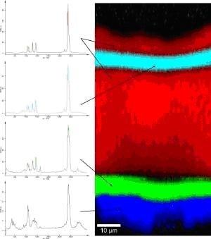 Raman spectra (left) and Raman image (right) of the inner coating of an orange juice container.