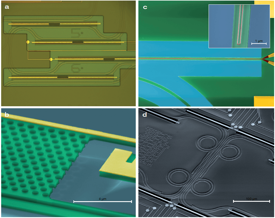 OnChip Quantum Optics with Photonic Circuits