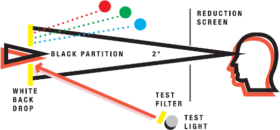 Human eye response to light