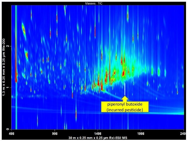 GCxGC-TOFMS was used to analyze a QuEChERS extract of finished tobacco. In a 1D-GC analysis matrix interference would have obscured the detection of a widely used pesticide ingredient, piperonyl butoxide. The automated peak find in the LECO ChromaTOF software identified piperonyl butoxide, with a library similarity of 876.