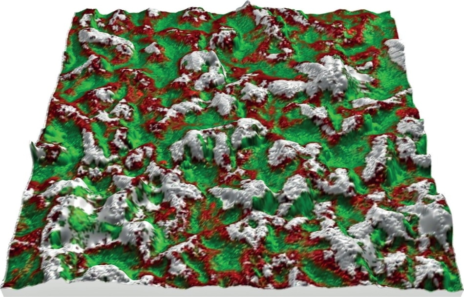 Reconstructed view of a sunscreen-covered PMMA plate, combining topographic and chemical data.