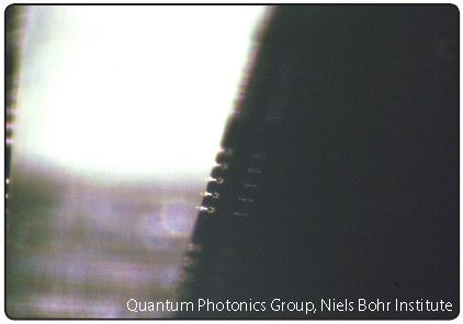 Optical microscope image