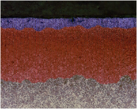 Coating layer and decarburization zone detected on a Decarburized Tool Steel sample