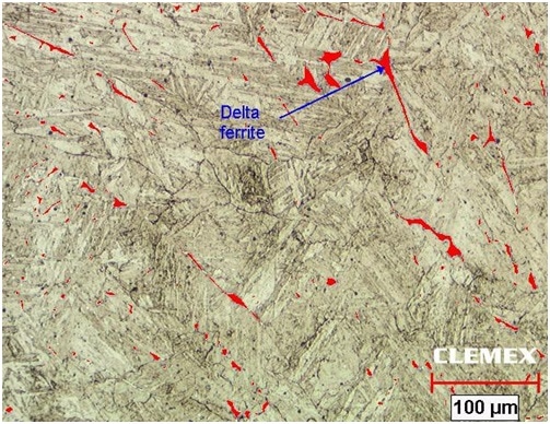 Martensitic stainless steel with delta ferrite phase detected