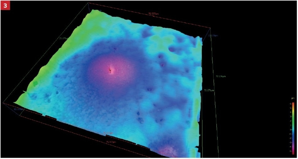 energy dispersive X-ray microanalysis (EDS).
