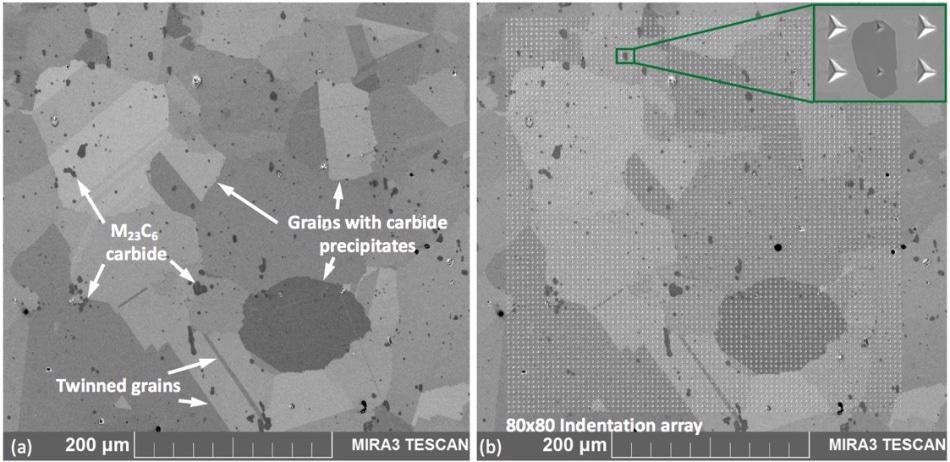 SEM image of a polished polycrystalline Nibase superalloy. The complex microstructure has a polycrystalline structure, including twin grain boundaries and a high number of M23C6 carbides. The grain boundaries of the alloy are continuously occupied by carbide precipitation.