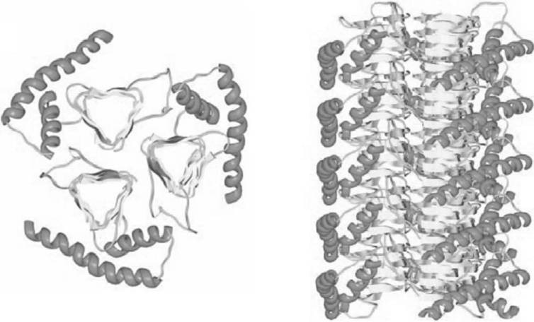 Protein Contamination Detection on Surfaces