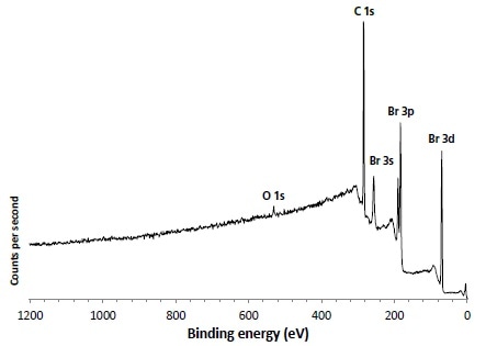 Large area (300 µm x 700 µm) survey spectrum from the 1,4-dibromobenzene.