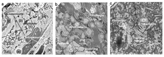 SEM-Backscattered (BSE) images of Al-tobermorite and zeolite in pumice clasts