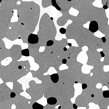 Phenom SEM BSD image of an advanced ceramic heating element material