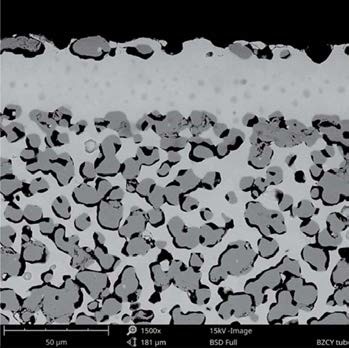 Phenom SEM BSD image courtesy of CoorsTek