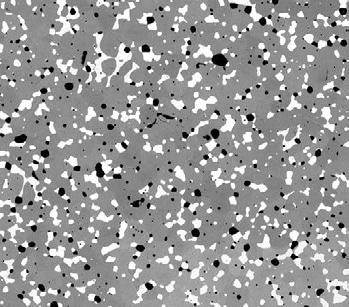 Tiled composite of 30 Phenom SEM images