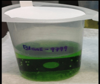 chloride corrosion and metal ion contamination