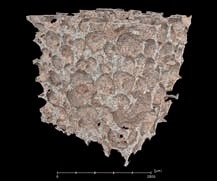 3-D X-ray tomography of the ceramic foam.
