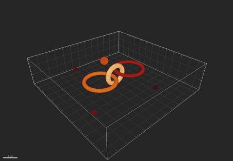 An example of the true objects being imaged by the imaging system.