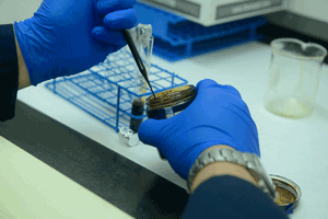 UV/VIS, UV Spectroscopy, VIS spectroscopy, UV, VIS, spectroscopy