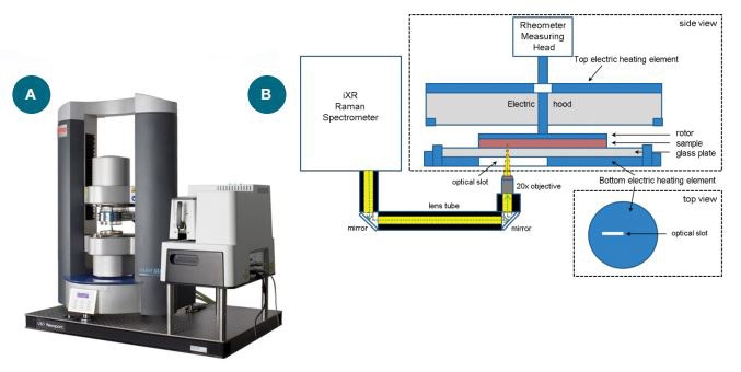 (a) The Thermo Scientific™ HAAKE™ MARSXR RheoRaman System. (b) Schematic diagram of the MARSXR RheoRaman system (showing side and top views of the rheometer sample stage). The iXR Raman spectrometer is free-space coupled to the MARS rheometer using lens tubes and mirrors that direct light into a 20x objective. The objective focuses the incoming laser (green dashed line) and collects the back-scattered Raman light (yellow) coming out of the sample sitting atop the rheometer stage.