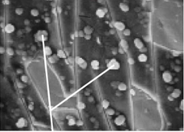 Silicon CVD Coating Material, Metal Alloys
