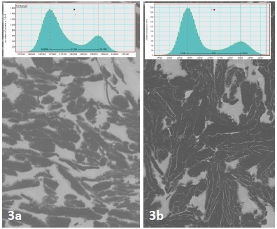 A 14% increase in contrast was seen after plasma cleaning a region of colloidal silver dag surrounding the SBFSEM specimen.