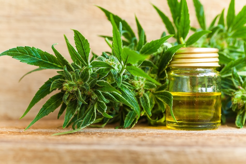 Cold Trap for Quality Cannabis Extraction and Distillation
