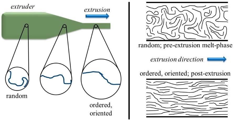 Schematic representation of the extrusion process.