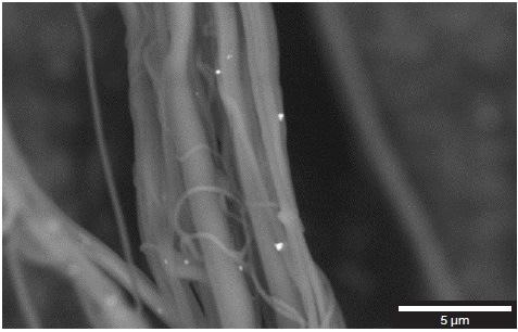 Silver nanoparticles distribution on the surface of the polyamide nanofibers